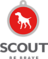 https://atlantaadclub.org/wp-content/uploads/2018/09/scout-logo.png